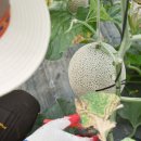 석진농장 이미지