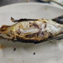 노포구이 | 속초 동명항 오징어난전 유람선야식 | 제철 양미리구이 도루묵구이 노포 술집 솔직후기