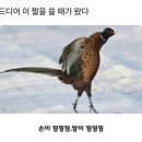 단골석쇠불고기