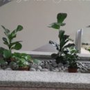 사파동358 이미지