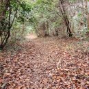 최강장군 가리포해전 대첩비 이미지