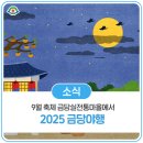 2025 금당야행 이미지