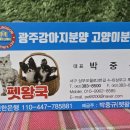 애견왕국 이미지