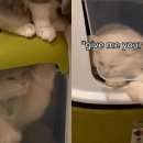 도그앤스토리 이미지