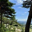 파인 관광농원 이미지