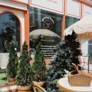 틴틴피자 이미지