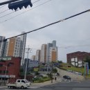 도배나라 이미지