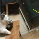 이불방