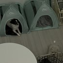 여울노래연습장 이미지