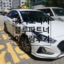 옥마모범택시(자) | 카카오택시 사용법 블루파트너 일반택시 차이 이용료 수수료 아기랑 이용 후기