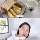 밤비동물병원 이미지