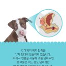 가야동물병원 이미지