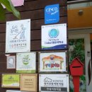 고추의 역사,좋은고추 선별법,고추요리 이미지