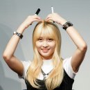 인제10 이미지