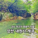 부산 근교 물놀이 추천 / 경남 최고의 물놀이 핫플 양산 내원사 계곡 후기 (주차,취사금지)
