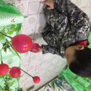 지민농장 이미지