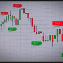 바이앤셀 이미지