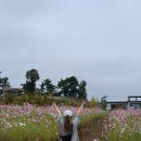 호리바다펜션 | 서산 애견동반 오션뷰 카페호리 힐링여행 강추