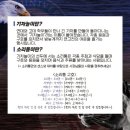 고려대 첫 고연전 후기 | 선배님들 사랑해요 | 집단문화 행복사..