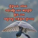 좋은인연 이미지