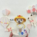 송내대로27번길 | 양모펠트 미니어처 취미반 후기 :)_ 10센치 작은 고쫑아 만들기 ✨