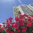 하삼동커피 부천세무서점 이미지