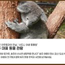 설렘 - 남구 | 설렘