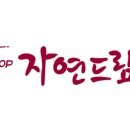 더드림무역