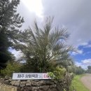 한경카서비스 | 파워 계획형 J가 알려주는 3박 4일 제주 여행 코스 추천(렌트카를 곁들인..💭)