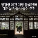 창경궁 홍화문 옆 | 창경궁 야간 개장 물빛연화, 대온실 가을 나들이 코스 추천