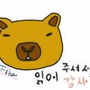달라또 이미지