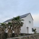 바이신산 이미지