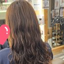 녹양약국 - 6780 | 의정부 녹양동 미용실 아우라헤어 히피웨이브펌 후기