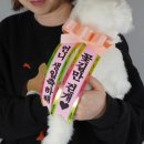 축하하개 이미지