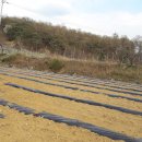 금가면사무소 이미지