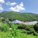 능강관광지 이미지