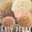 피아트헤어