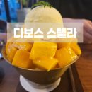 백옥대로1075번길 | [용인] 처인구 빙수맛집 다보스 스텔라 망고빙수 내돈내산 솔직후기