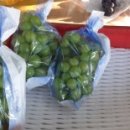 서운 북산리 석조여래입상 이미지