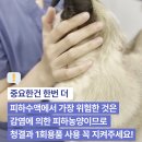 24시잠실ON동물의료센터 이미지