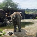 Begin English | 타이베이 시립동물원 taipei zoo 가격,정보까지 대만 가볼만한곳 대만가족여행