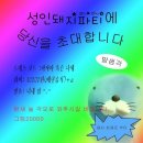 용비어 네이버블로그