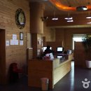 수락산 편백원 이미지