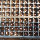 팔봉농원 이미지