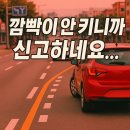 제기38 | 깜빡이 안 켰다고 신고당했습니다.과태료 처분 받은 후기 + 이의제기 방법 총정리!