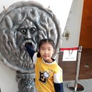 매일참사랑의원 이미지