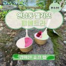 피에트라 | 연남동 젤라또 피에트라 8가지 맛 솔직후기 (메뉴&가격 정리)