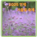 동홍천마을(군업2리) | 2025 인제 가을꽃 축제 기본정보, 공연, 체험 프로그램, 이벤트, 편의시설, 먹거리, 교통 총정리