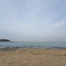 로제스(A)펜션 이미지