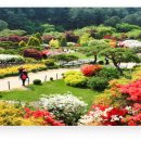 주)미리내 힐빙클럽 내 이미지